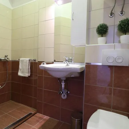 Apartment Vlado *